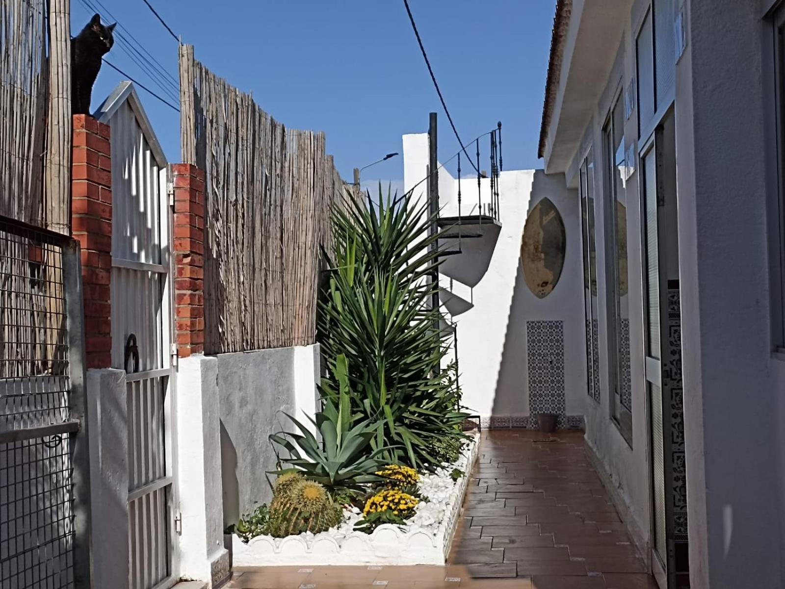 Casa, Piscina, Jacuzzi, Garaje, Barbacoa. Villa Chiclana de la Frontera Ngoại thất bức ảnh